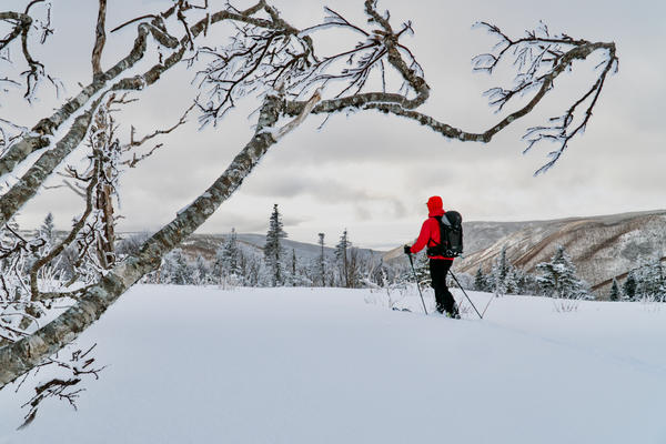 Forêt ouverte : Un outil cartographique pour trouver de nouvelles lignes à skier