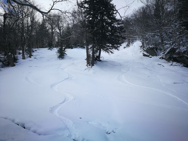 Bulletin météo du 18 avril: le printemps attendra