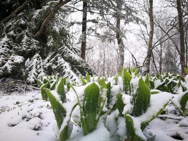 Bulletin météo du 13 avril: une dernière tempête ?