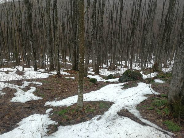 Bulletin météo du 8 décembre: la marée basse