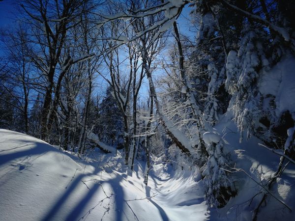 Bulletin météo du 12 janvier: bye la croûte