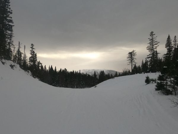 Bulletin météo du 4 avril : d'une saison à l'autre