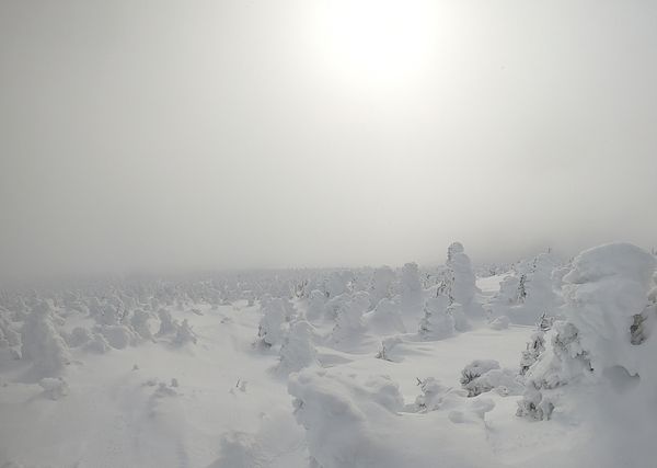 Aperçu de l'hiver 2023-2024